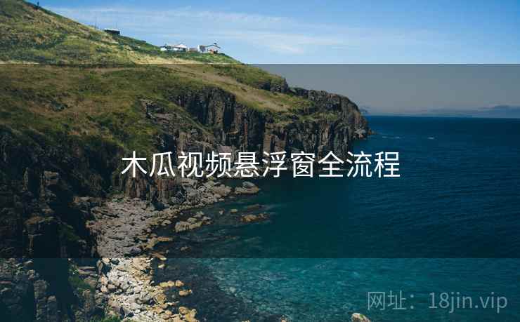 木瓜视频悬浮窗全流程