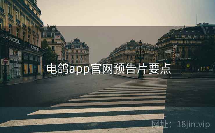 电鸽app官网预告片要点