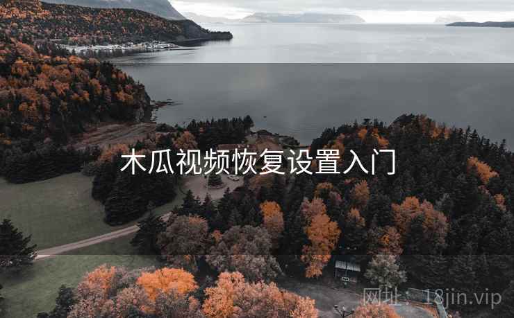 木瓜视频恢复设置入门