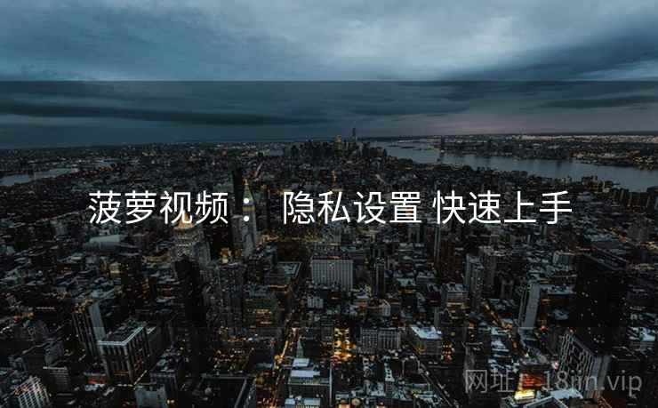 菠萝视频 ： 隐私设置 快速上手