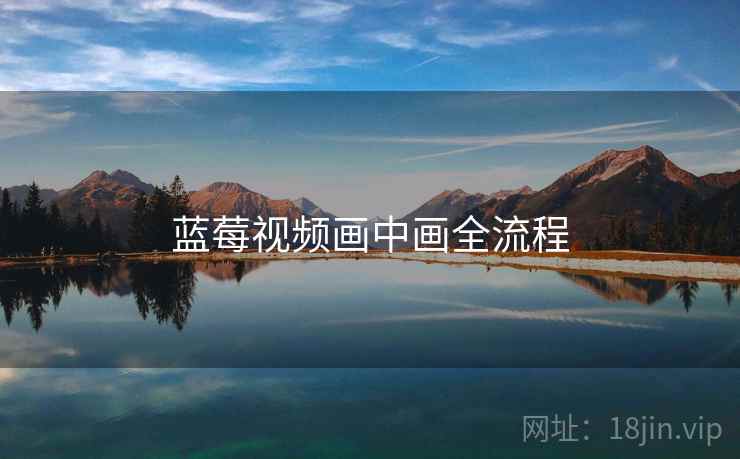 蓝莓视频画中画全流程