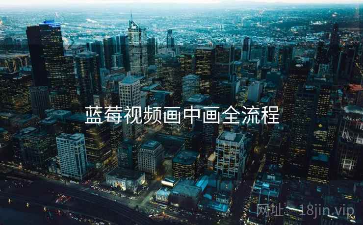 蓝莓视频画中画全流程