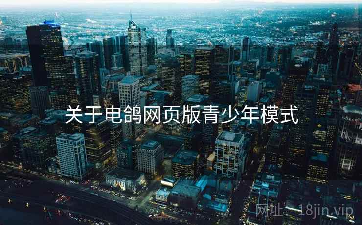 关于电鸽网页版青少年模式