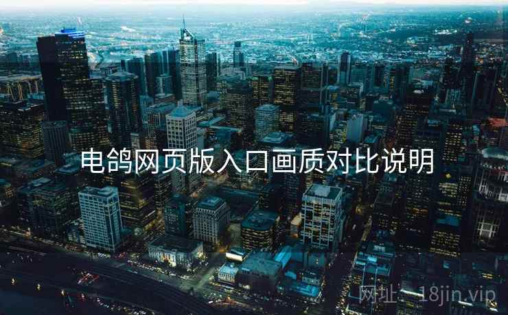 电鸽网页版入口画质对比说明