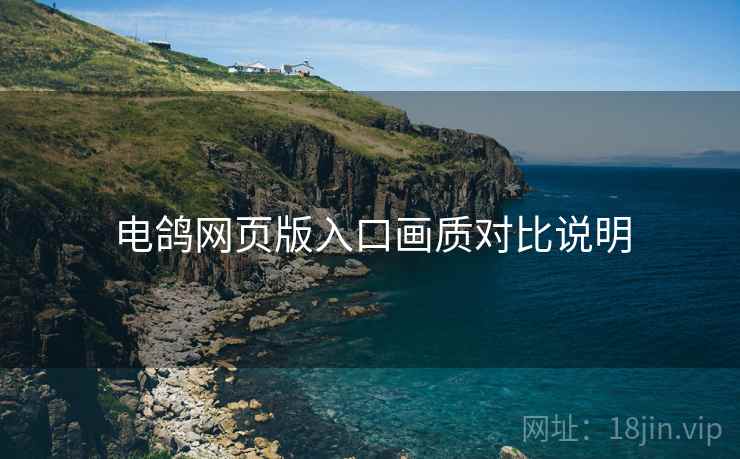 电鸽网页版入口画质对比说明