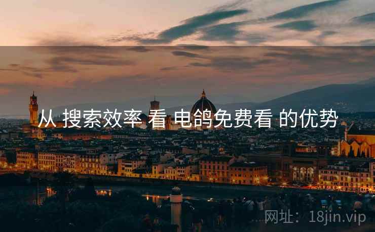 从 搜索效率 看 电鸽免费看 的优势