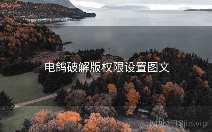电鸽破解版权限设置图文