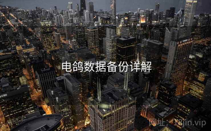 电鸽数据备份详解