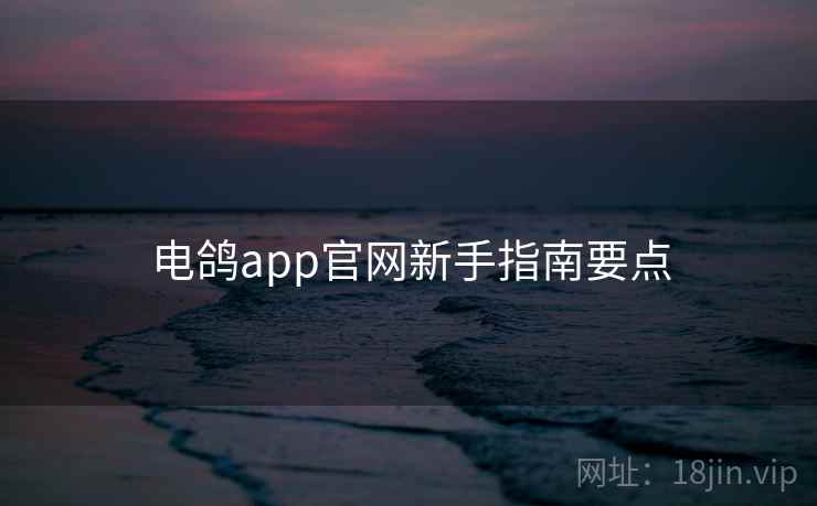 电鸽app官网新手指南要点