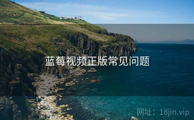 蓝莓视频正版常见问题