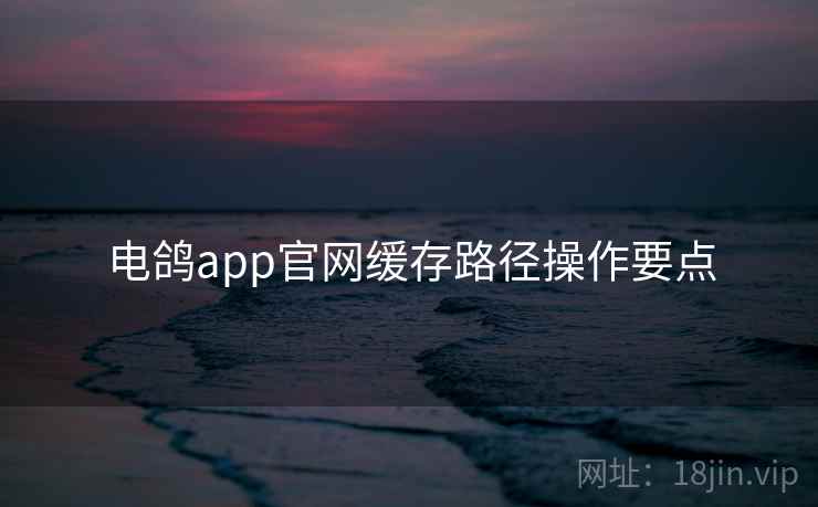 电鸽app官网缓存路径操作要点