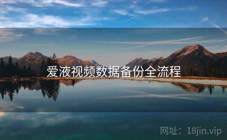 爱液视频数据备份全流程