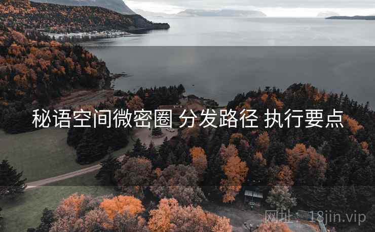 秘语空间微密圈 分发路径 执行要点