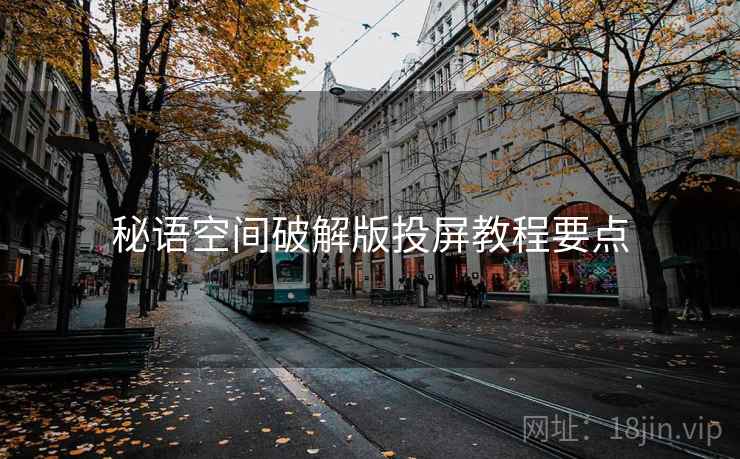 秘语空间破解版投屏教程要点