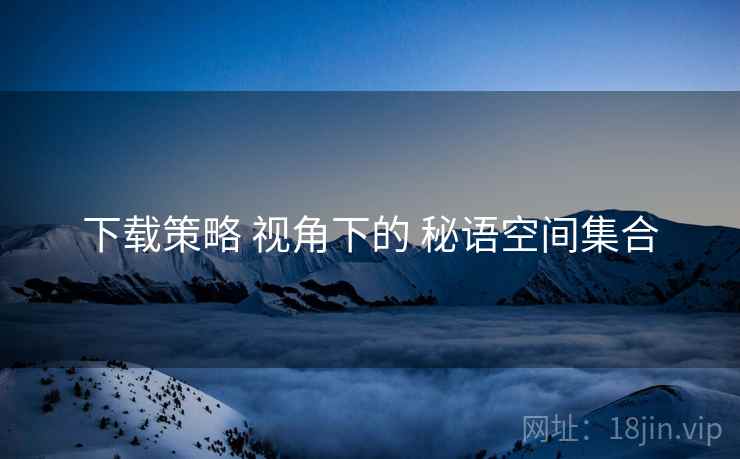 下载策略 视角下的 秘语空间集合