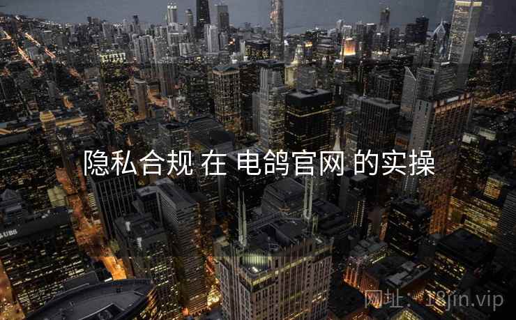 隐私合规 在 电鸽官网 的实操