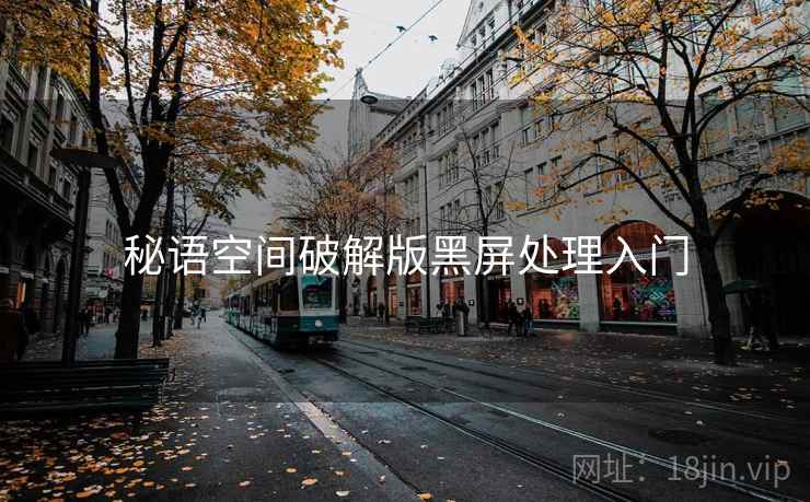 秘语空间破解版黑屏处理入门