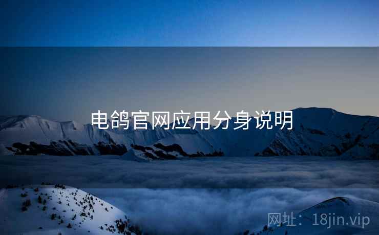 电鸽官网应用分身说明