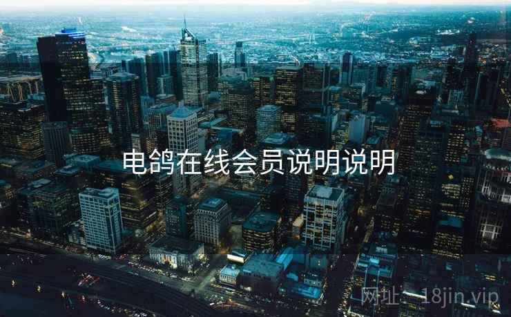 电鸽在线会员说明说明