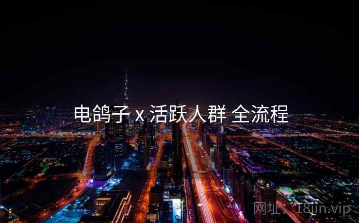 电鸽子 x 活跃人群 全流程