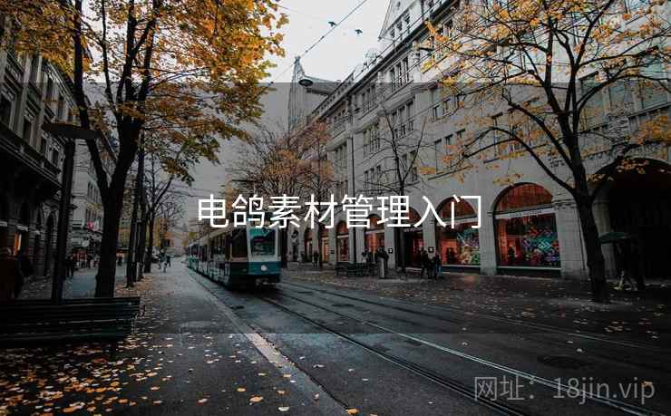 电鸽素材管理入门