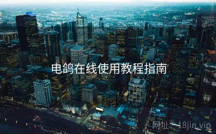 电鸽在线使用教程指南