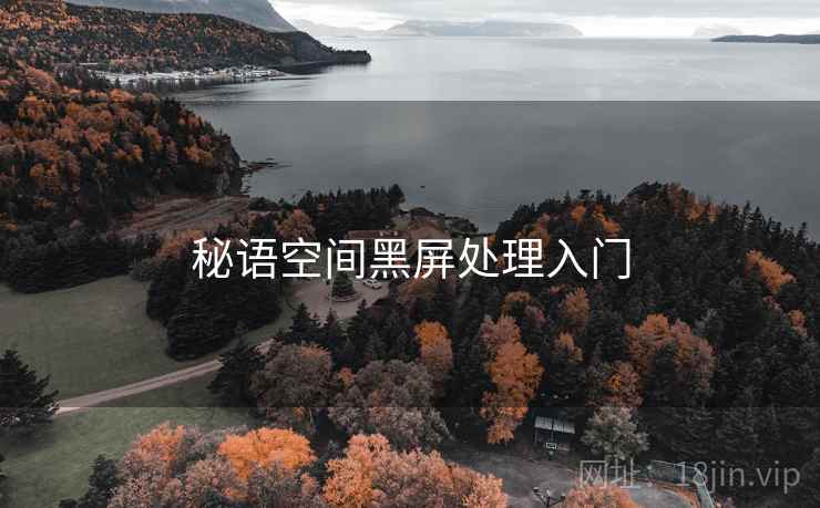 秘语空间黑屏处理入门